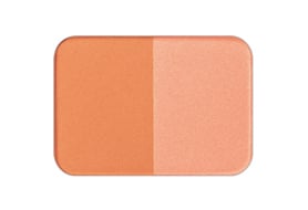 FANCL_322203 Styling Cheek Palette(Healthy orange)