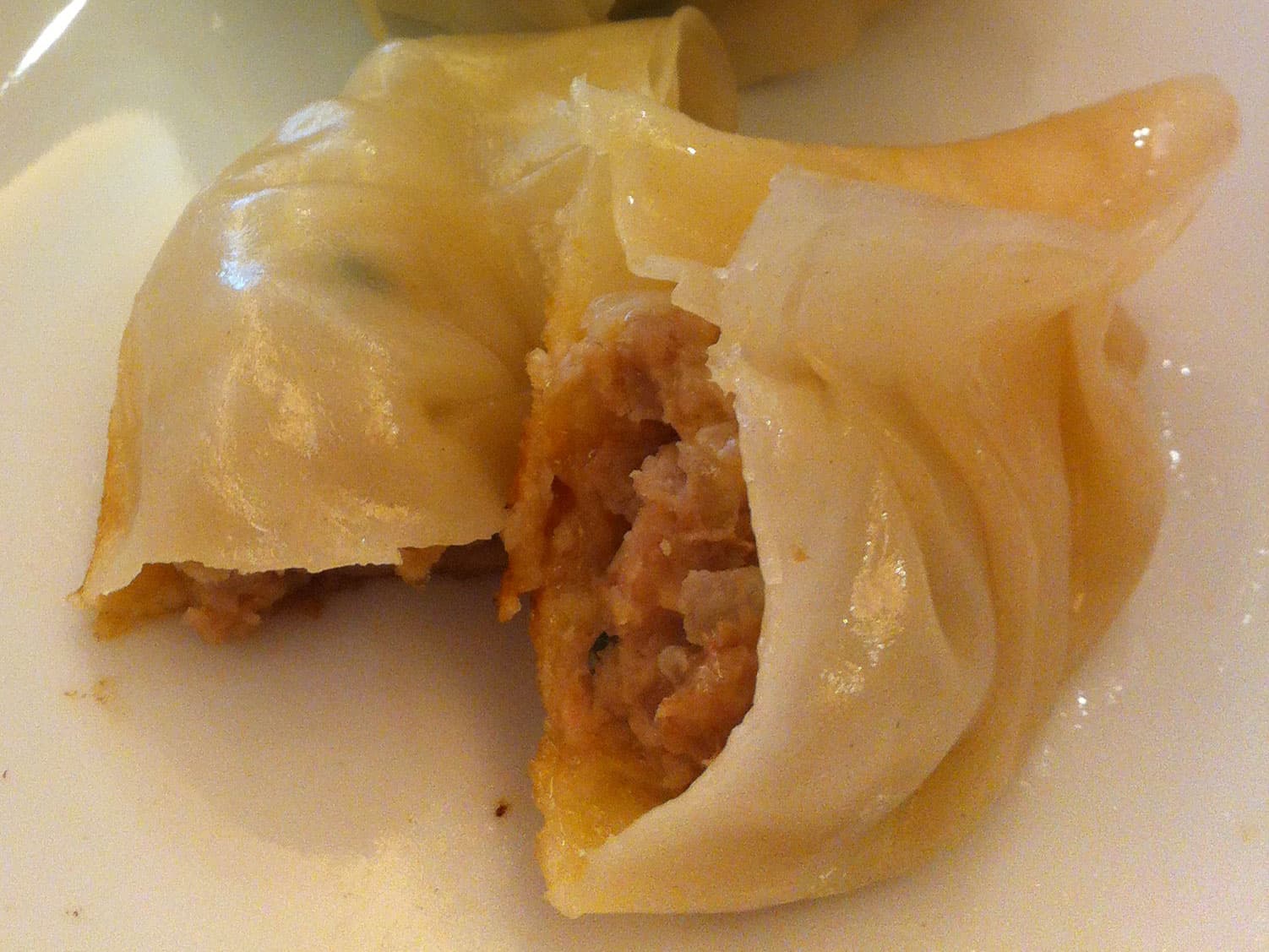 豬肉煎餃 水餃