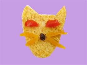 狐狸先生幾多點