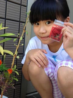 開花結果