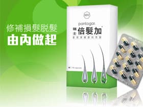 修補損髪脫髪由內做起