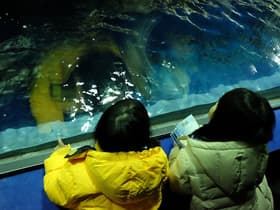 大阪親子遊~ 海遊館