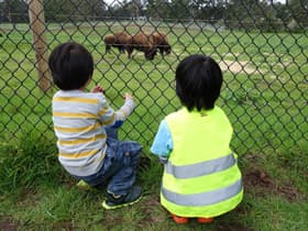金"毛"公園散散步