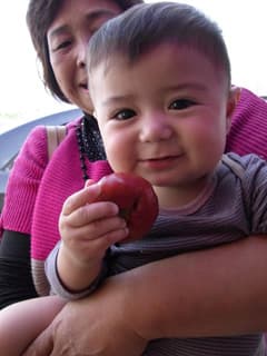 孩子不挑食