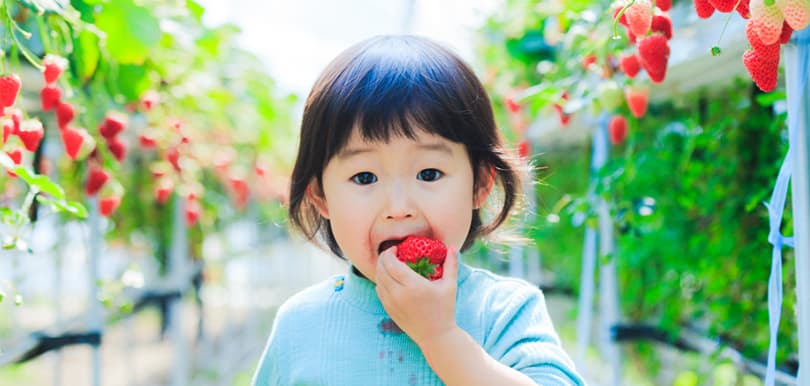 春夏5大必食水果