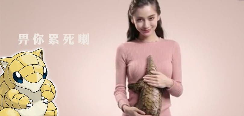 Angelababy成為穿山甲保育大使，被網民指「害了穿山甲」？