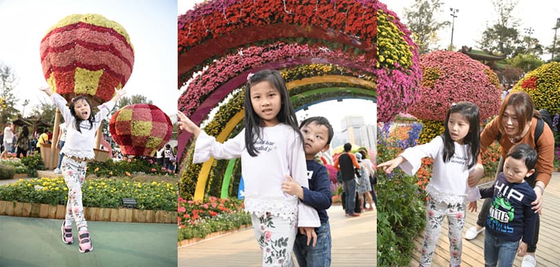 「香港花展2019」4大必影打卡位