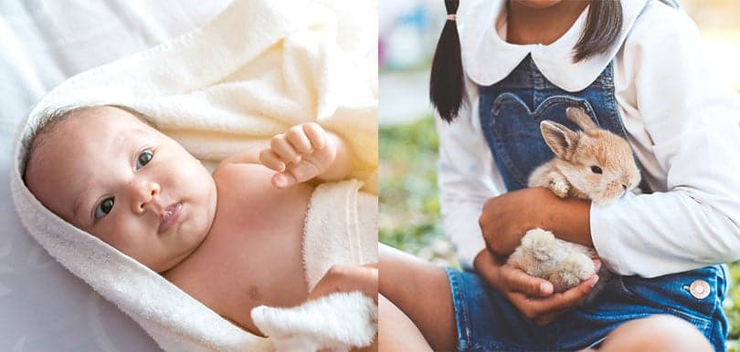 我們要自救！當幼兒與動物遇上催淚煙的求生備忘
