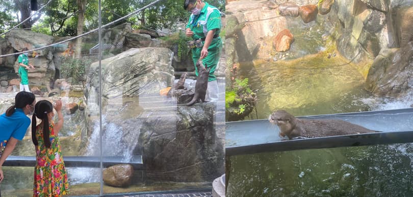 海洋公園的探險之旅！ 體驗在大自然中學習的樂趣