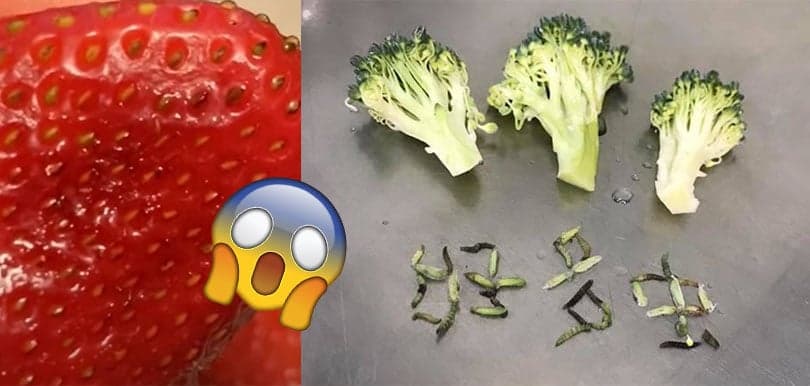 士多啤梨、西蘭花最易有蟲！揭12種最多農藥蔬果
