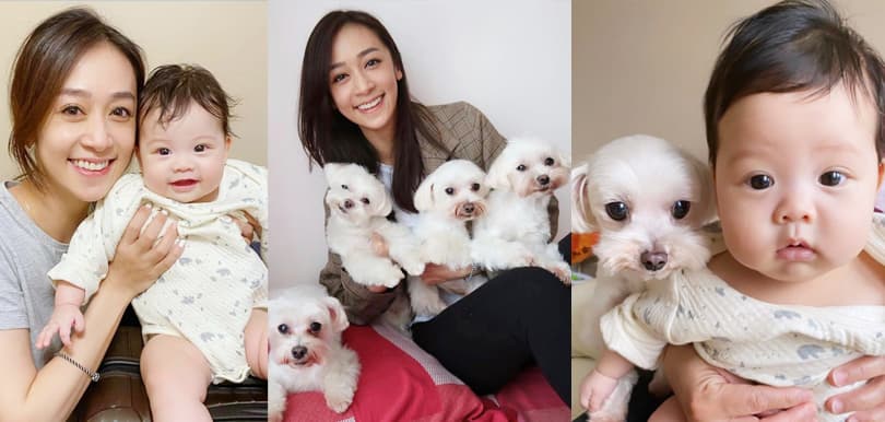 【愛護動物】黃心美任由姨甥女糟質毛孩！BB可以和毛孩和睦共處嗎？