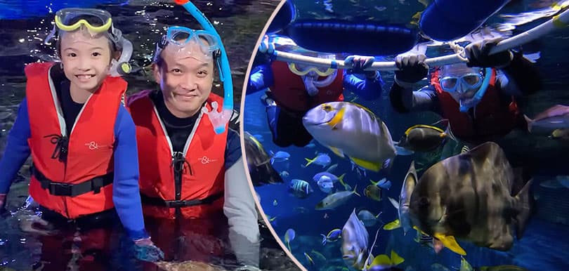 唔識游水都玩得！海洋公園新活動浮潛餵魚仔