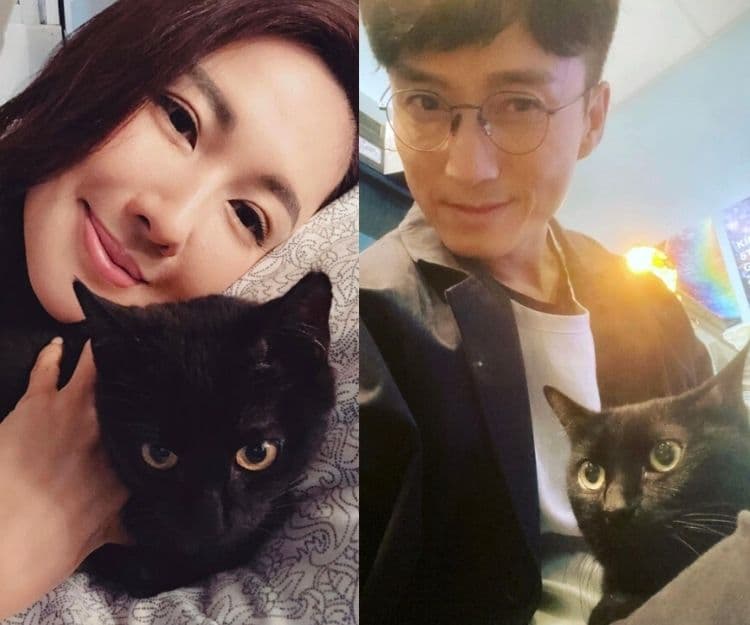 金宵大廈｜靚寶半歲入行史上最細「男一」！身世可憐因非純種被棄養 打破黑色不祥貓宿命成為貓明星