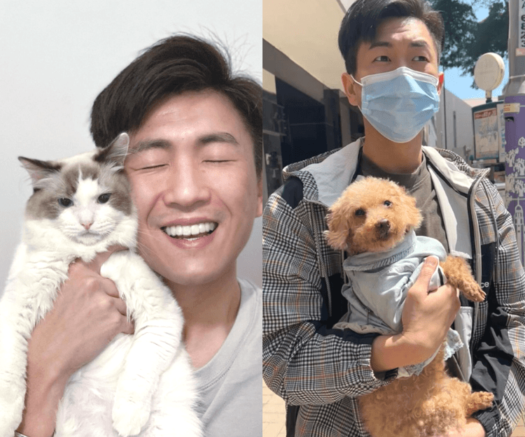 貴婦狗在尖沙嘴馬路上徘徊 馬貫東救起毛孩成功尋回主人 網民：你真係好人！