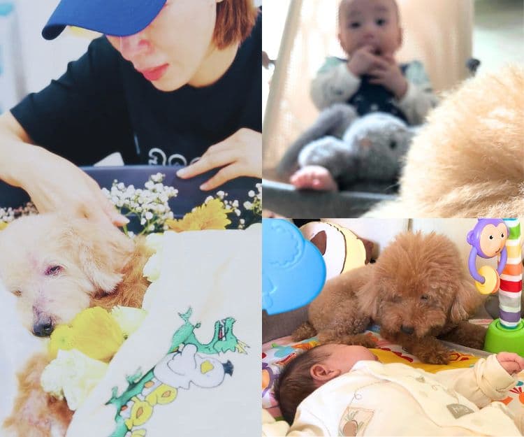 生死教育｜楊茜堯感觸送別16歲愛犬    寵物由細陪到大如何向孩子解釋死亡？父母謹記「三不兩要」5大重點