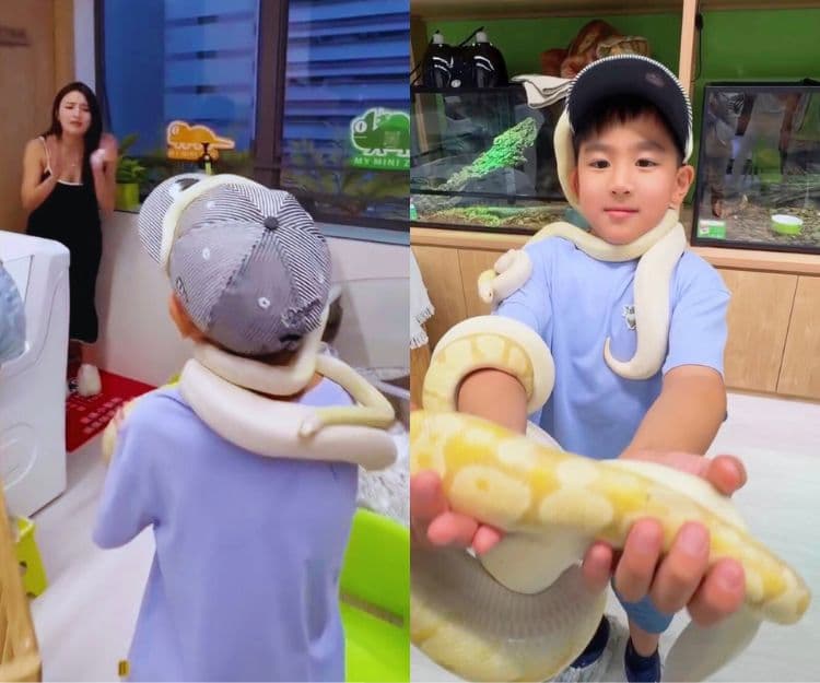 Coffee林芊妤帶兒子參加爬蟲動物派對！智商情商大躍進：孩子及早接觸爬蟲動物與昆蟲的4大好處