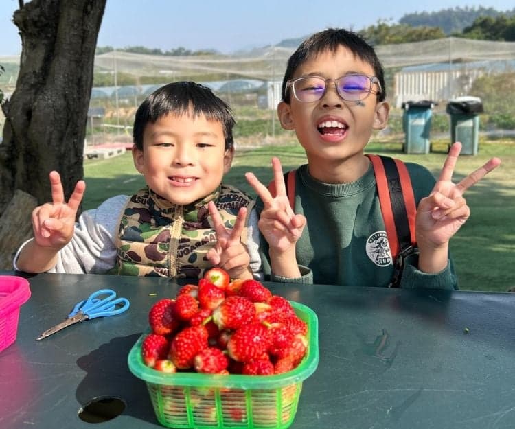 親子好去處︱士多啤梨當造！親子齊採摘：香港5大士多啤梨果園限時開放　最平$65磅把收獲帶回家
