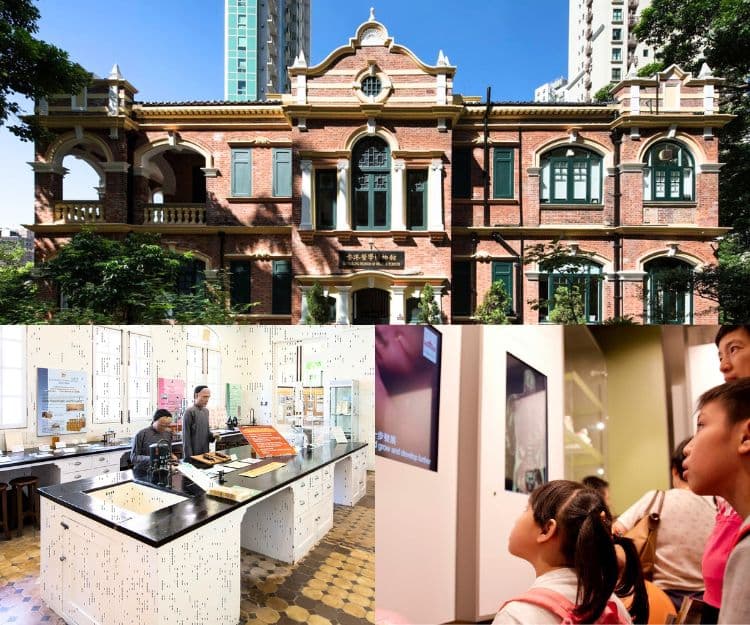 親子好去處｜香港醫學博物館30周年免費開放日：啟蒙醫學興趣、必買紀念品