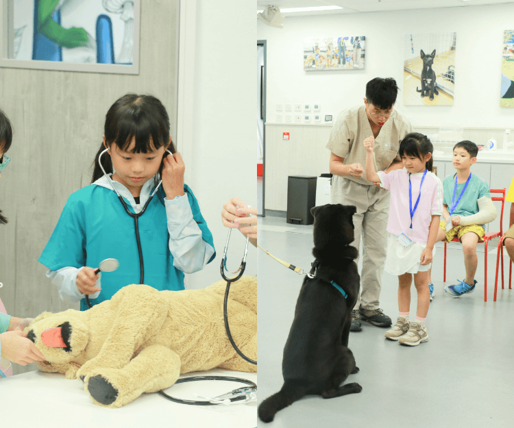 2026 SPCA夏令營動物全接觸 從了解拯救和獸醫工作 上生命教育