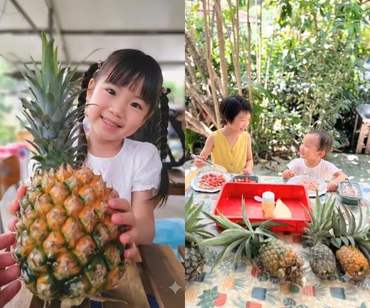 親子好去處|限時活動!大埔「摘菠蘿X手作鳳梨酥」體驗團 有機農莊一日遊!4大活動亮點:實體農夫體驗+化身小廚神