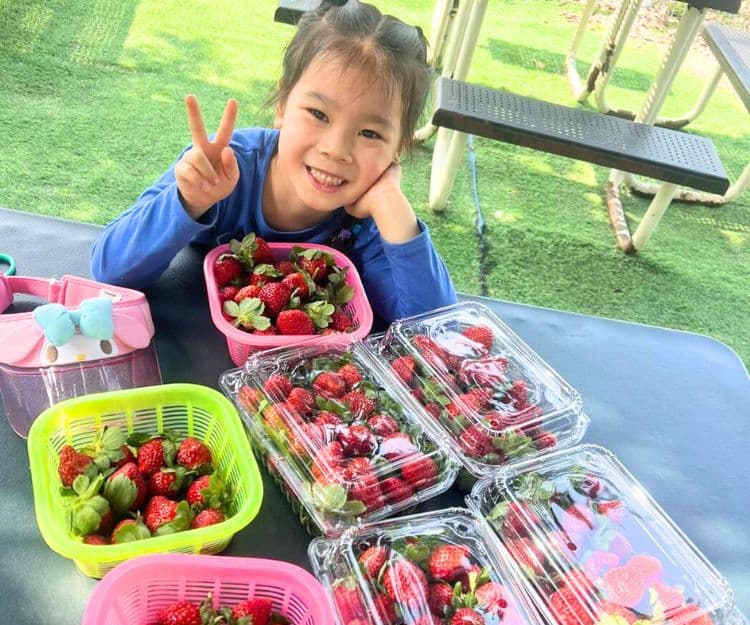 親子好去處︱精選本地5大士多啤梨園 免費入場、最平$65磅!1個園區特設充氣彈床+騎馬+餵小動物