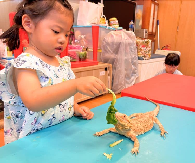 親子好去處|小小動物護理員職業體驗4大亮點:零距離接觸動物+打卡、餵食護理技巧 建立小朋友耐性與責任感