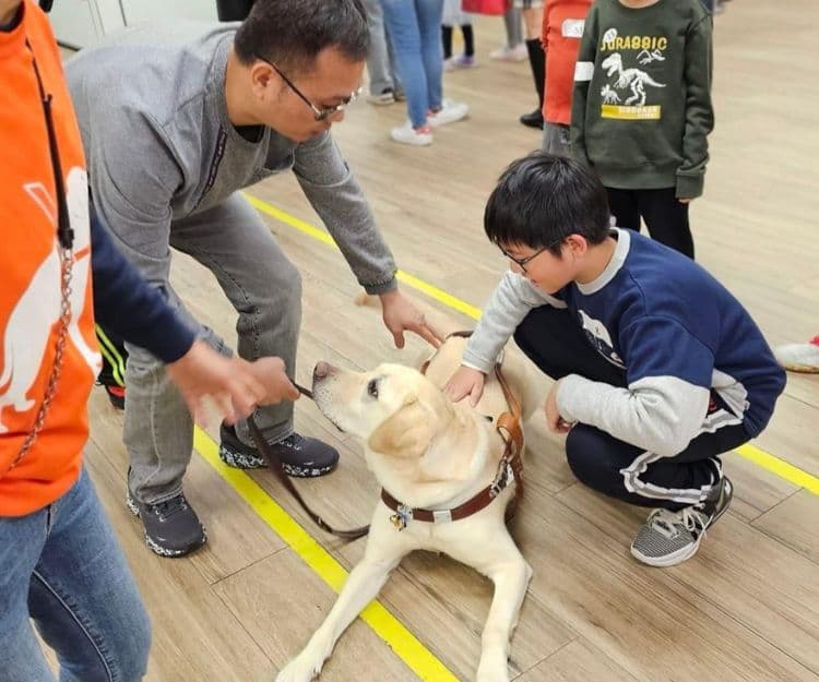 親子好去處|小Q迎新春互動體驗 了解導盲犬日常訓練及生活、與狗狗零距離接觸打卡