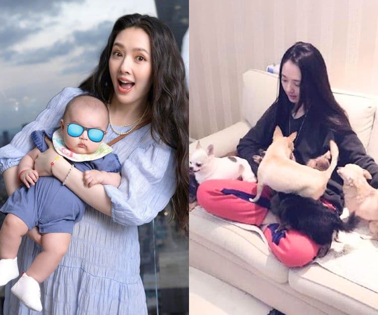兩孩媽媽郭碧婷收養過百隻流浪動物!養寵物前子女要符合4大條件