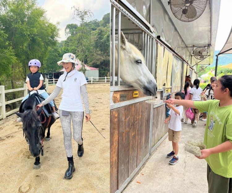 親子好去處|本地農莊馬術體驗營 1個價錢包1大1小!參觀馬房、騎馬、學刷身和餵食 4歲以上可參加!