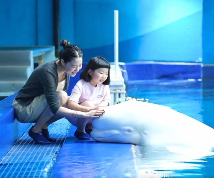 李元元母女親子遊三亞 Lucy興奮親親小白鯨、暢遊水族館!兒童接觸海洋生物4大好處