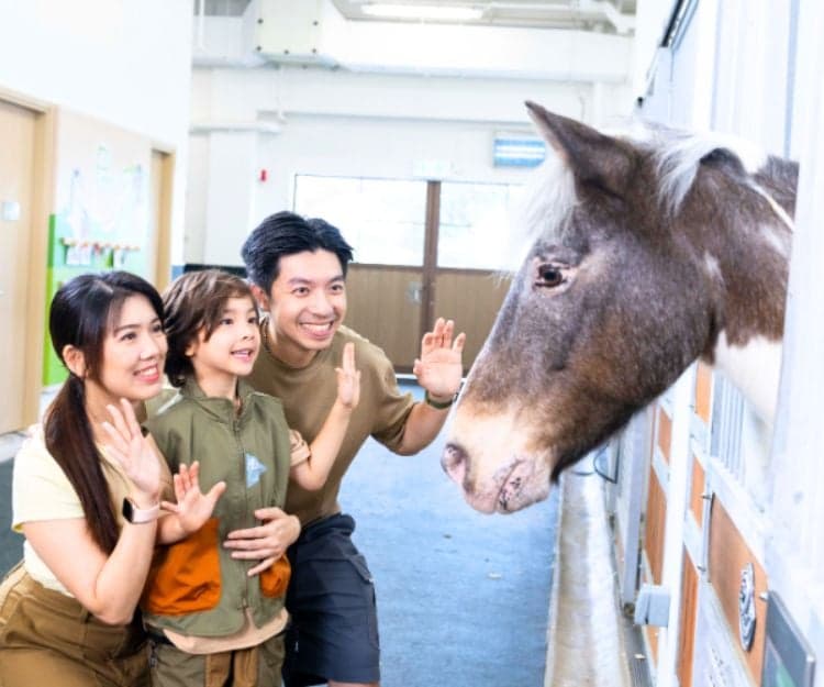 親子好去處|全港首創「小馬大本營」強勢登場!$50起零距離親親小馬 策騎+馬房探秘一家大細必玩!