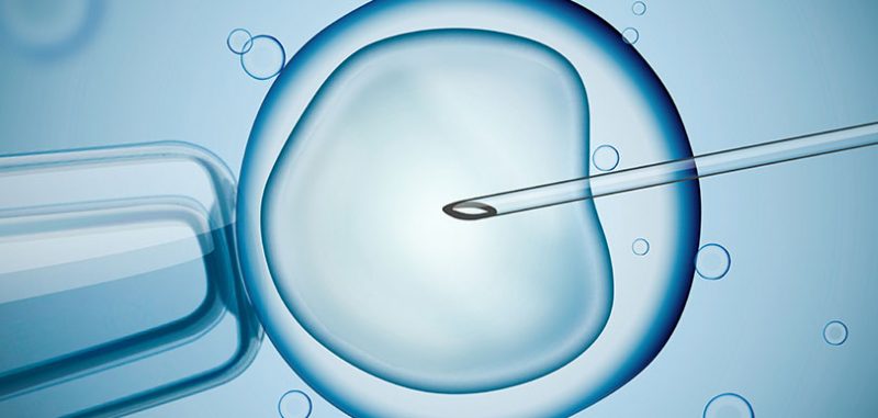 針灸如何幫助增IVF成功機會？