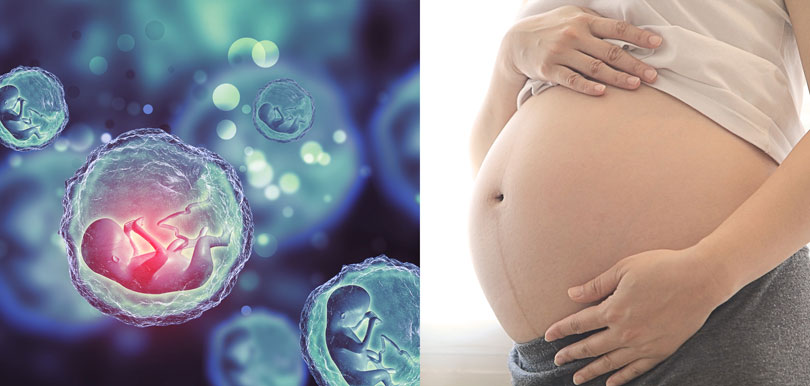 中醫新手媽媽教室：月經和卵子的關係