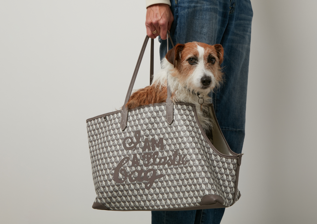 Anya Hindmarch 推出全新狗狗系列，為時尚狗主提供出門放狗散步的必備手袋及飾物等。