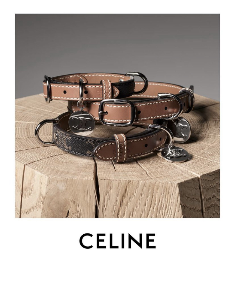 寵物時尚品牌（1）CELINE