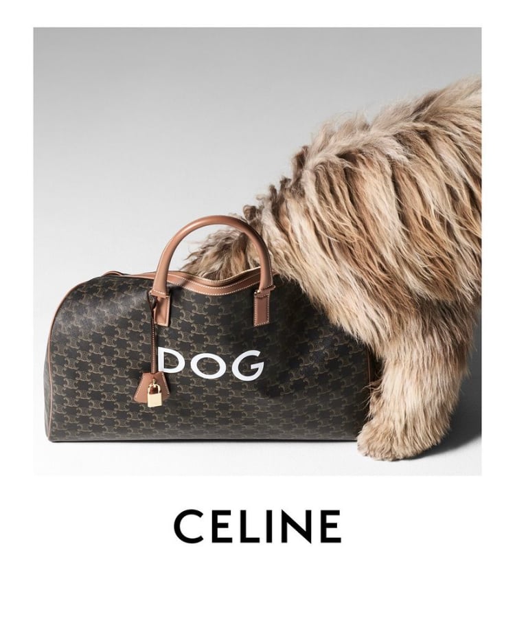 寵物時尚品牌（1）CELINE