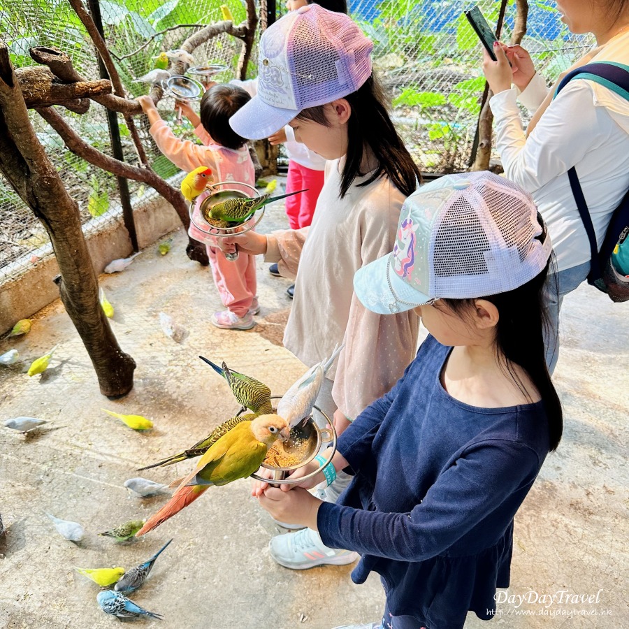 親子好去處 深圳 動物園
