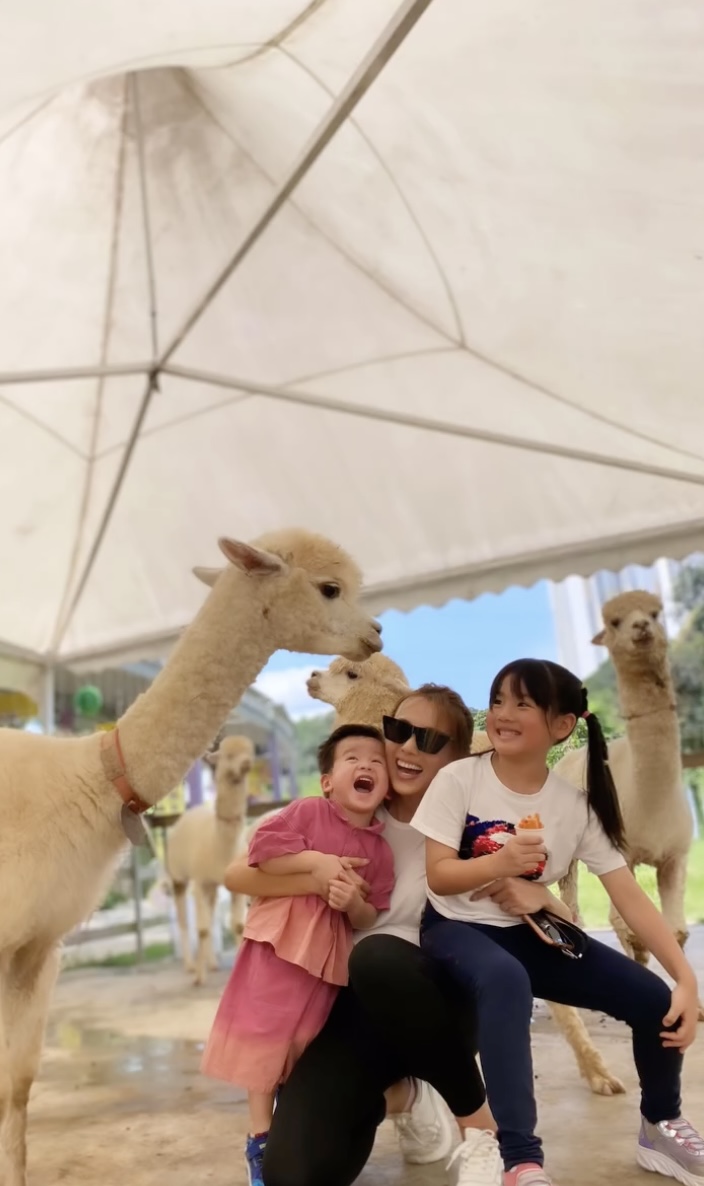 楊洛婷去年底帶小朋友到大埔蝶豆花園餵羊駝、騎馬仔。（圖片來源：IG@rabeeayeung）